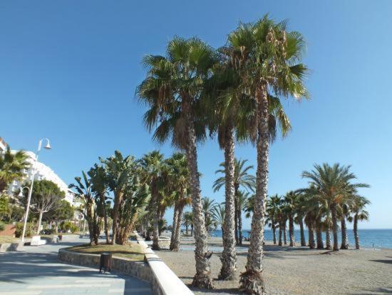 Apartamento Estudio En Chinasol Primera Linea Playa San Cristobal Almuñécar Kültér fotó